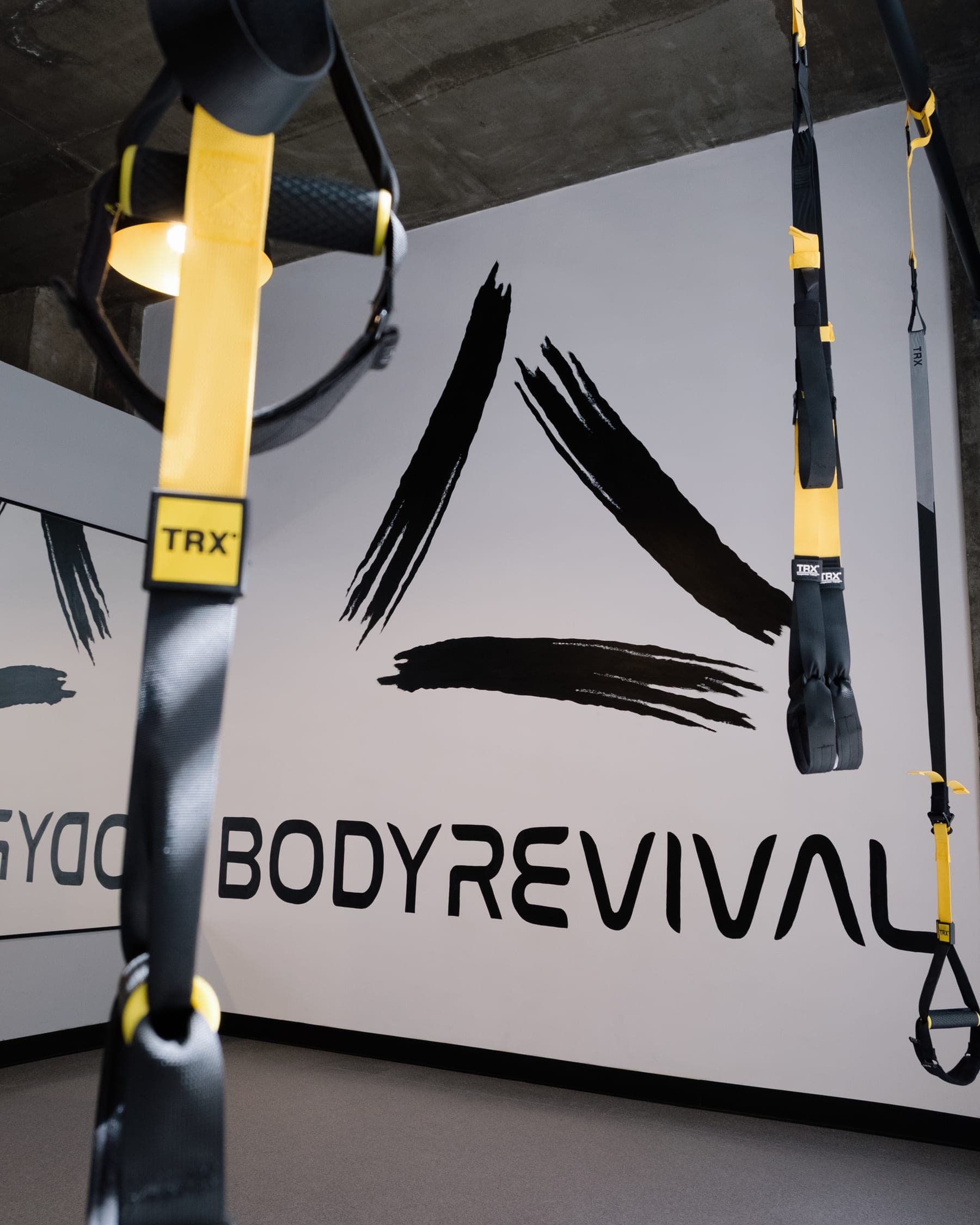 Петли TRX у стены Body Revival